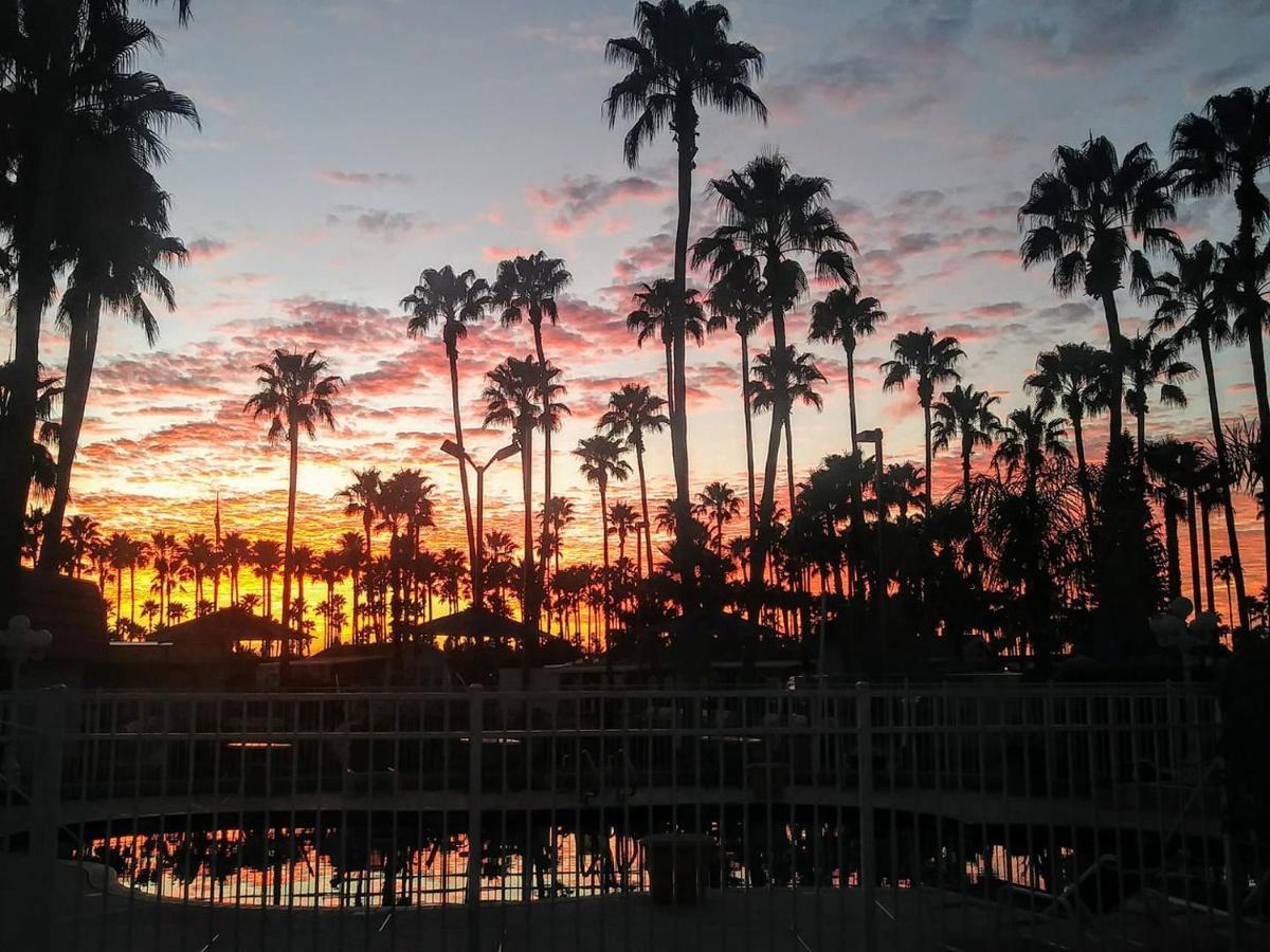 Victoria Palms Inn And Suites Donna ภายนอก รูปภาพ