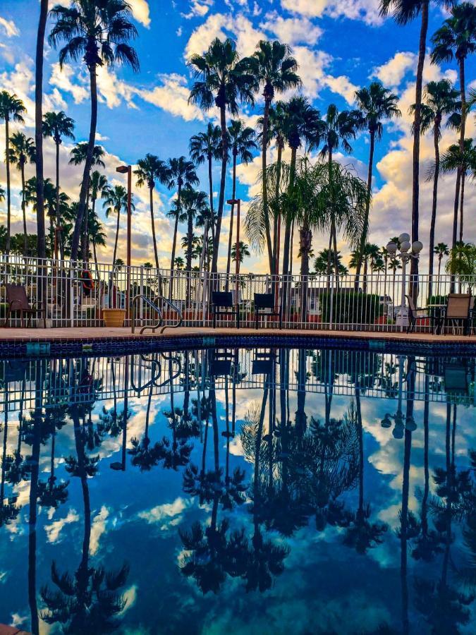 Victoria Palms Inn And Suites Donna ภายนอก รูปภาพ