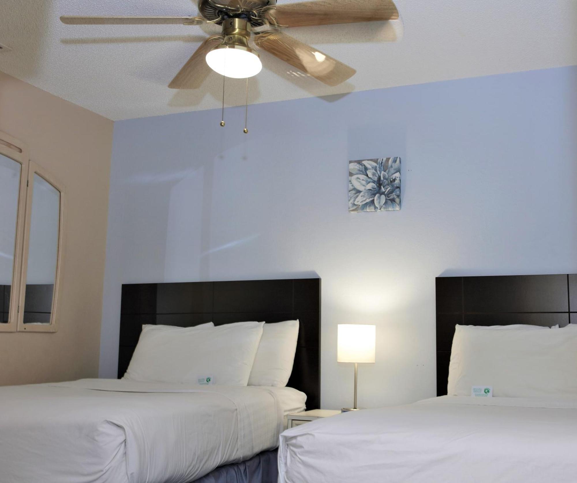 Victoria Palms Inn And Suites Donna ภายนอก รูปภาพ