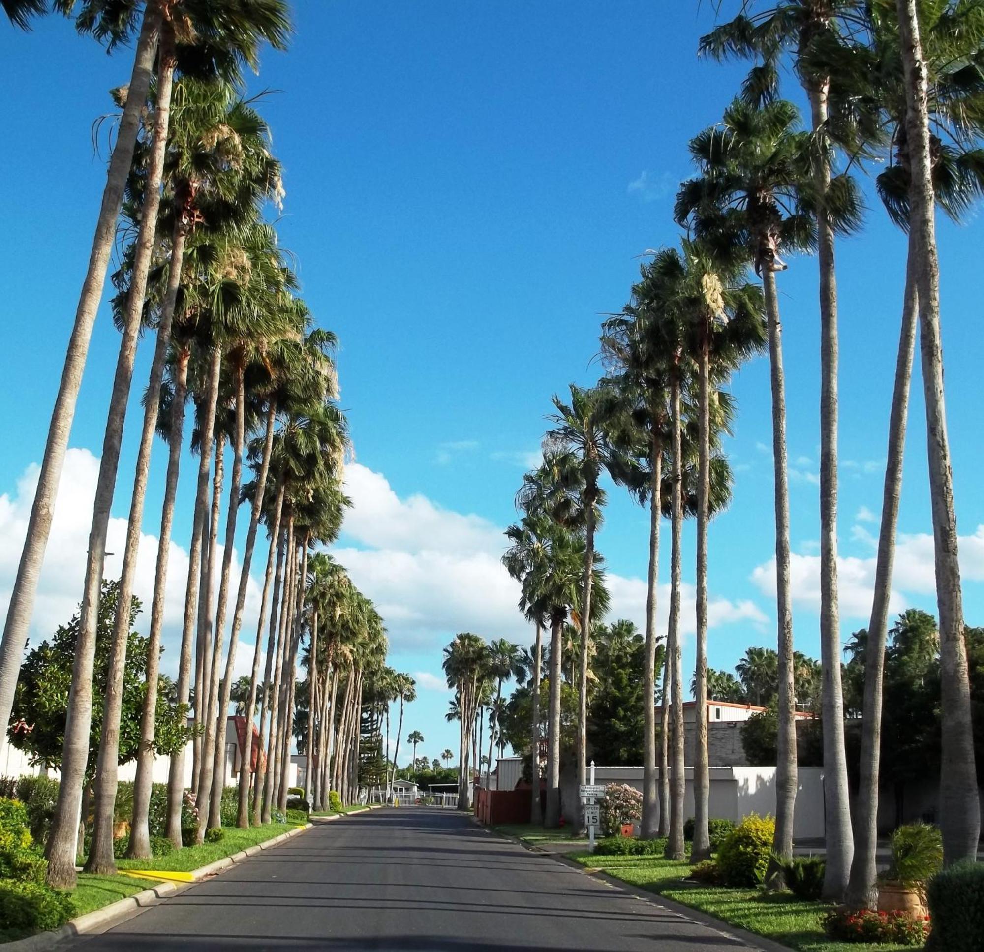 Victoria Palms Inn And Suites Donna ภายนอก รูปภาพ